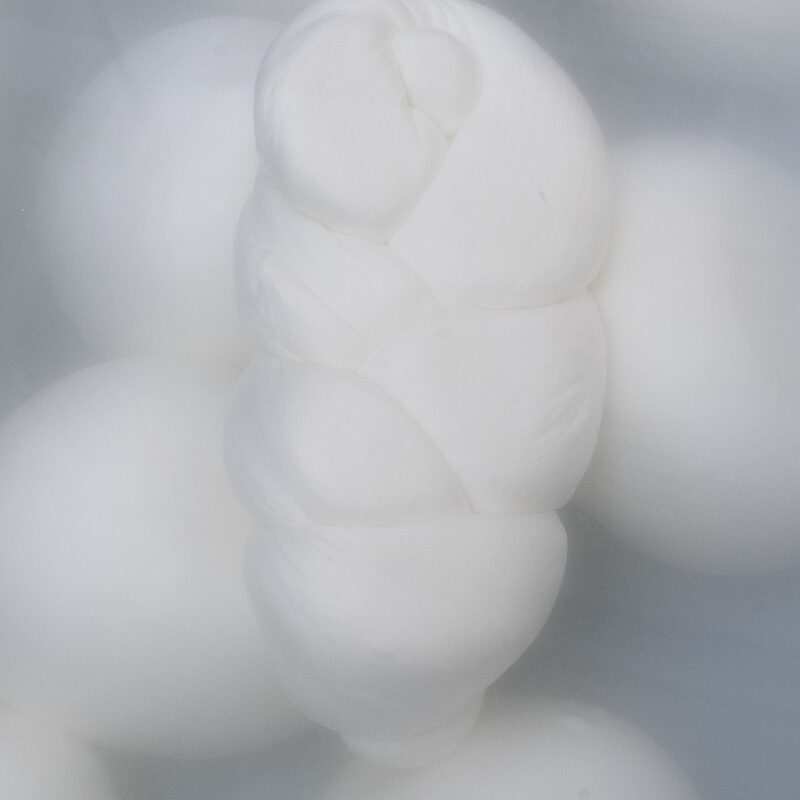Mozzarella Fior di Latte